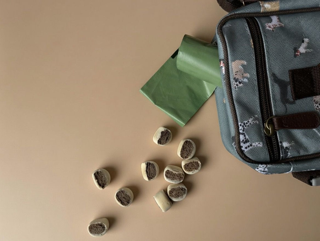 Dog Walking Accessory Bag (Fetch Design)
