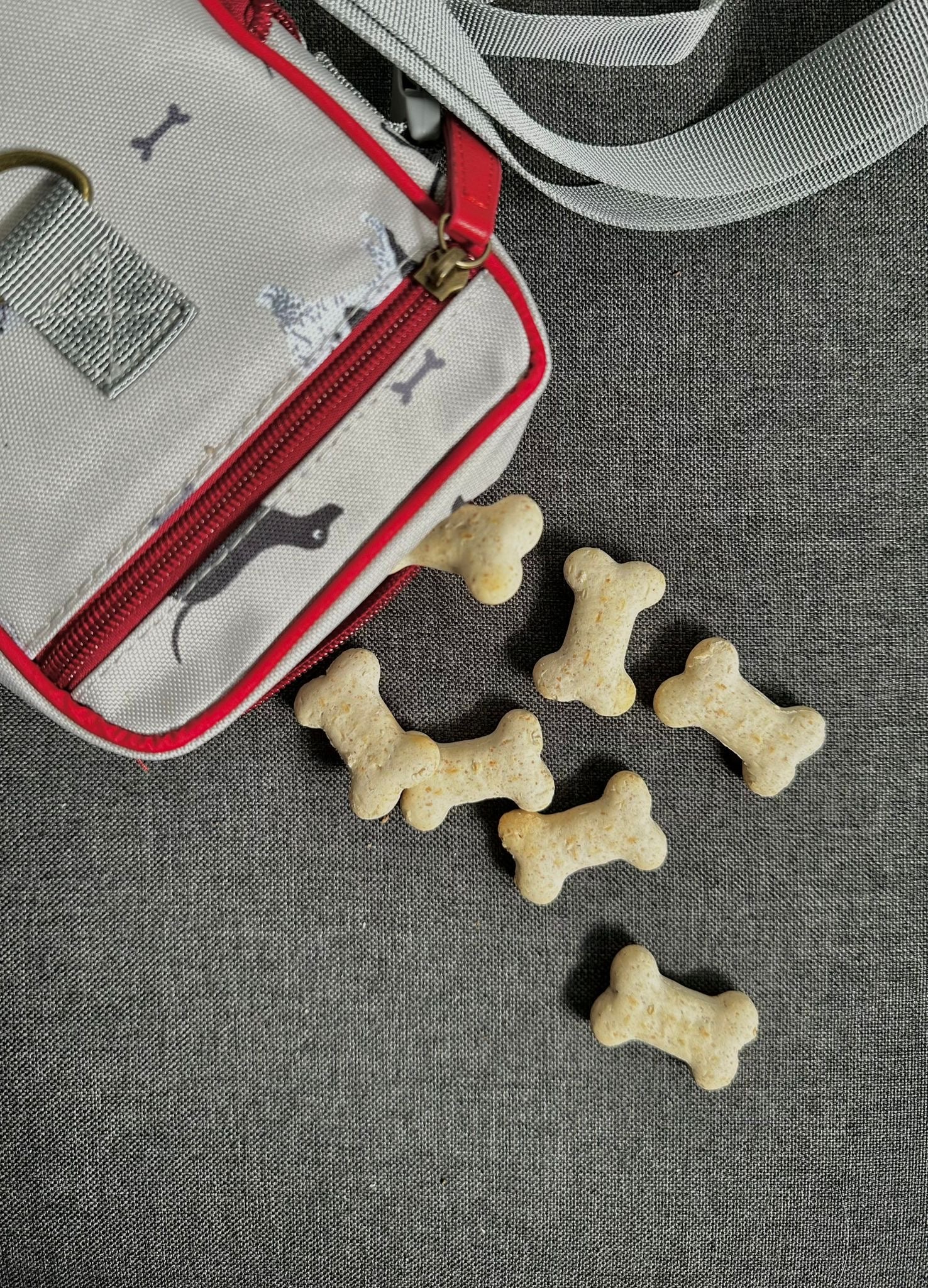 Dog Walking Accessory Bag (Woof Design)